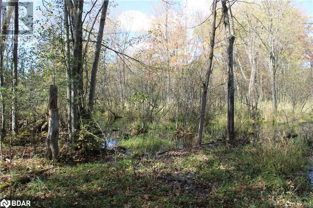 388 Woodland Drive Property Photo 14