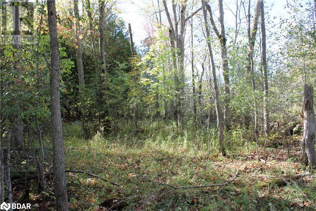 388 Woodland Drive Property Photo 15