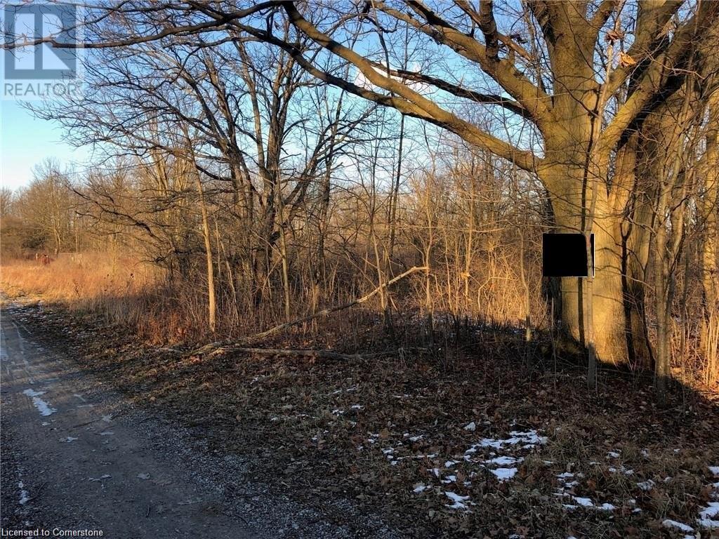 Lot 11 Hald-dunn Townline Road Property Photo