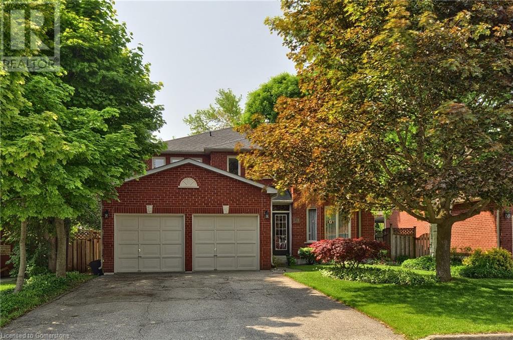 61 Harwood Road Property Photo 1
