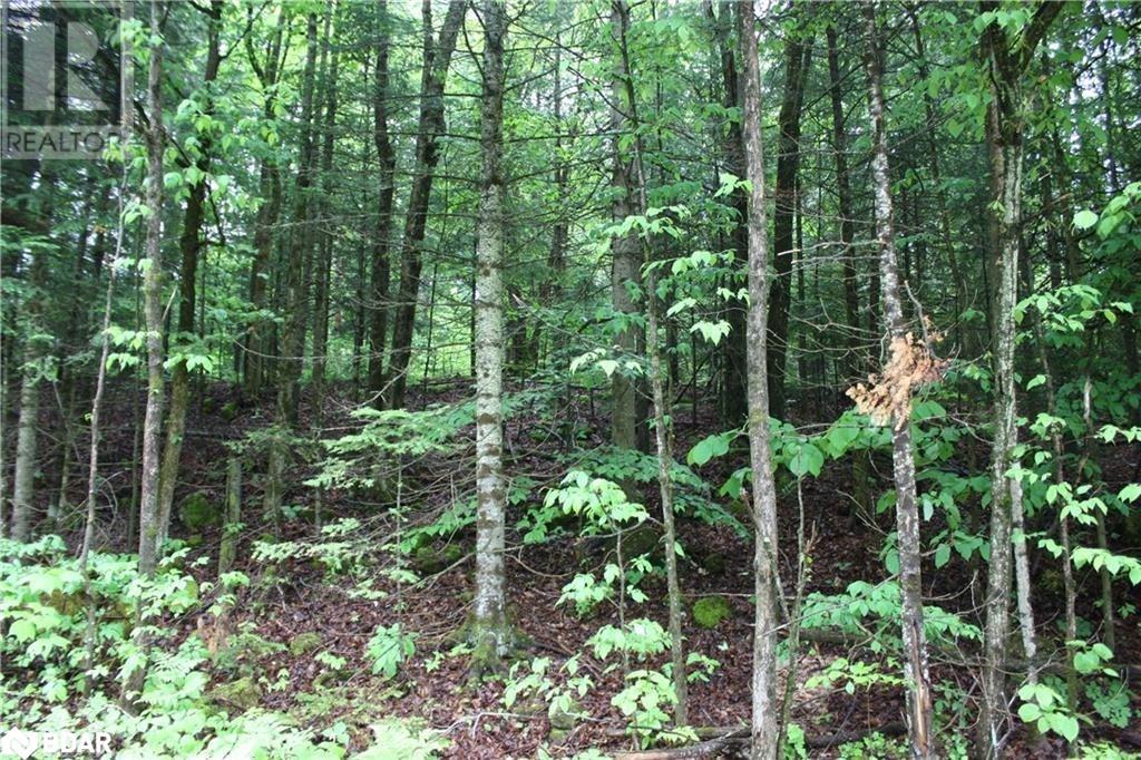 N/A QUARRY Road