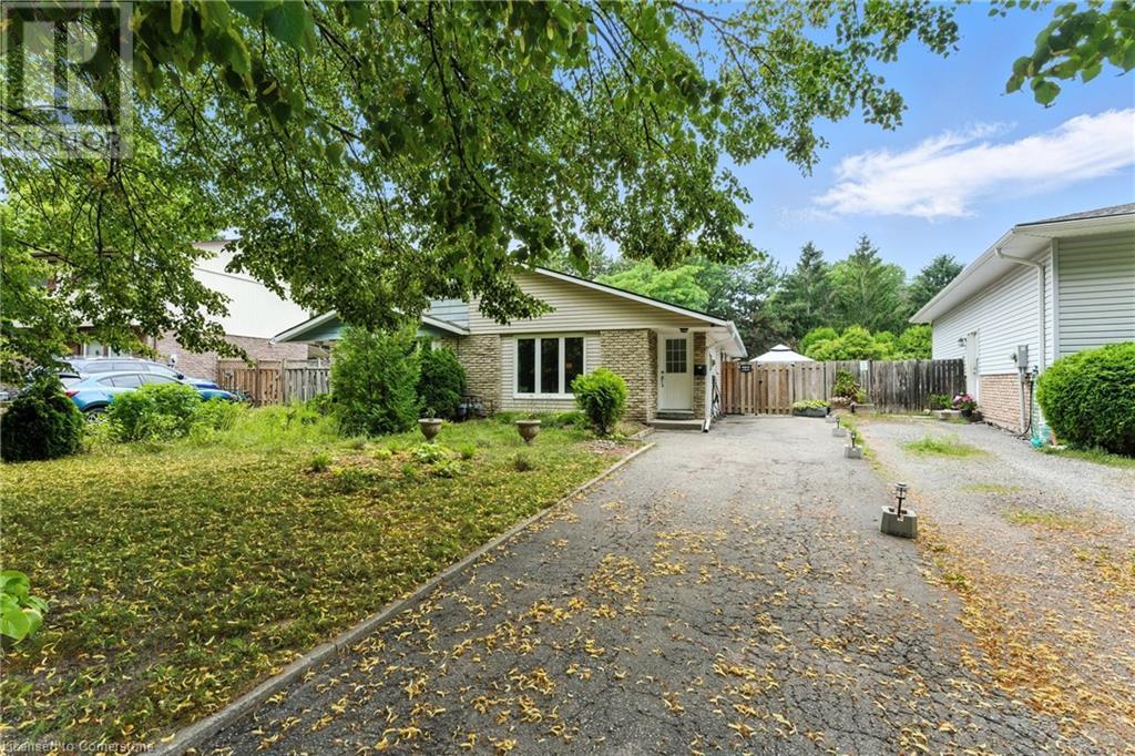 43 Elma Street Property Photo 1