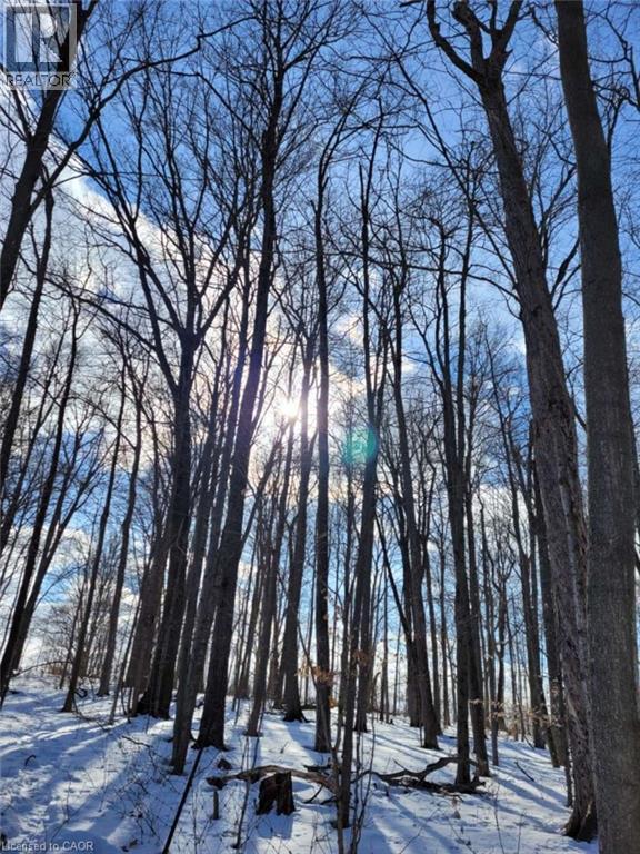 29 Unity Side Road Property Photo 1