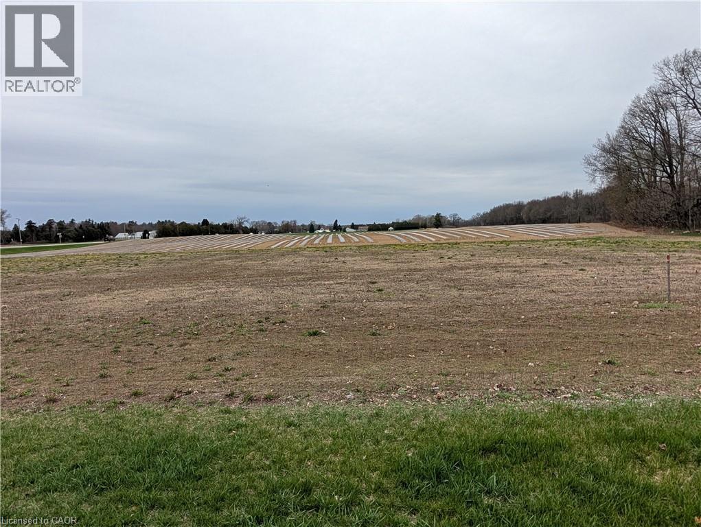 LOT 2 NORFOLK COUNTY RD 21 Property Photo 1