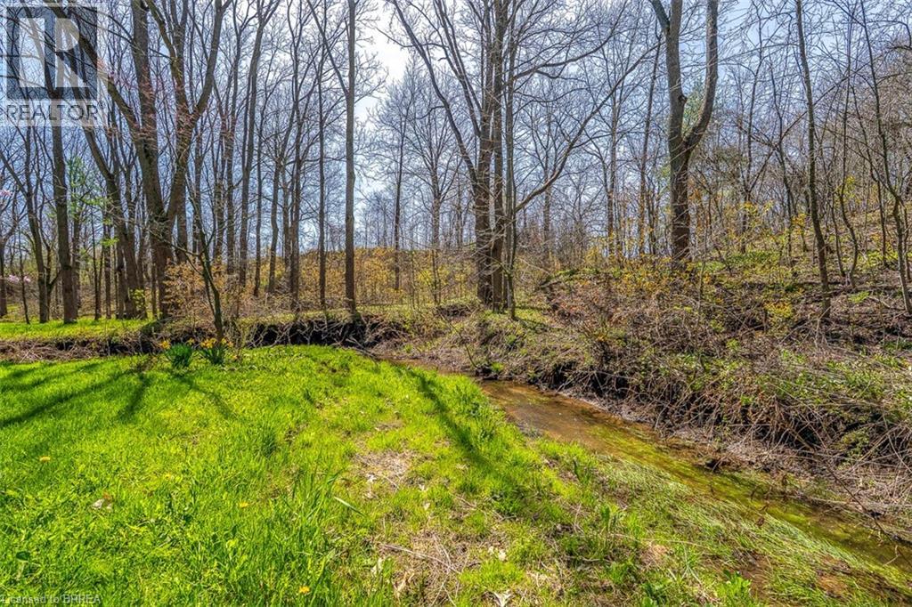 47 River Road Property Photo 28