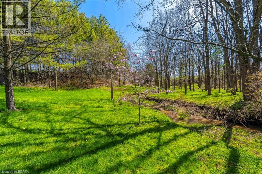 47 River Road Property Photo 33