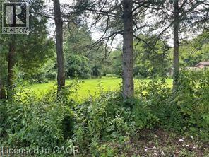 1161 Edgewood Road Property Photo 1