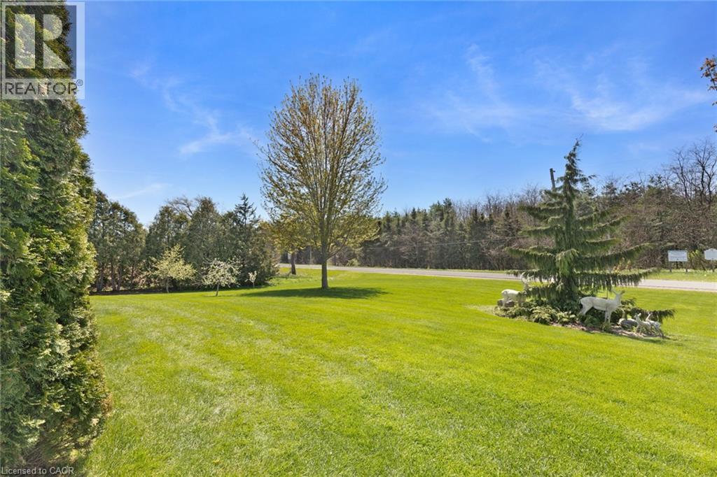 6 Scott Street Property Photo 17