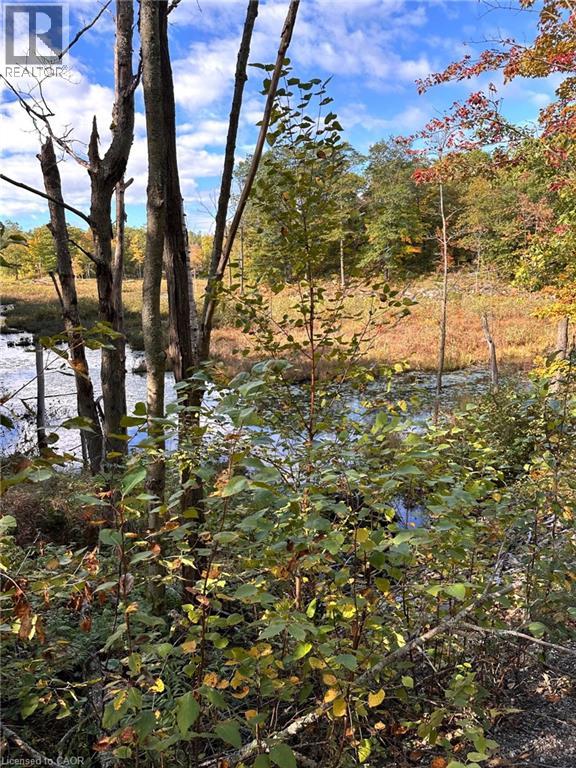 216 Smooth Rock Road Property Photo 3