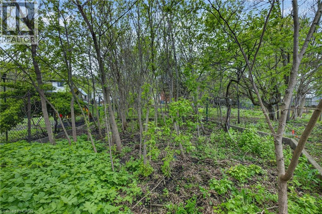 121 Elizabeth Street Property Photo 15