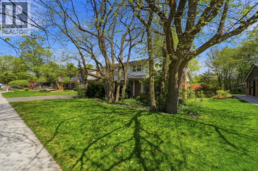 46 Birchcliff Avenue Property Photo 4