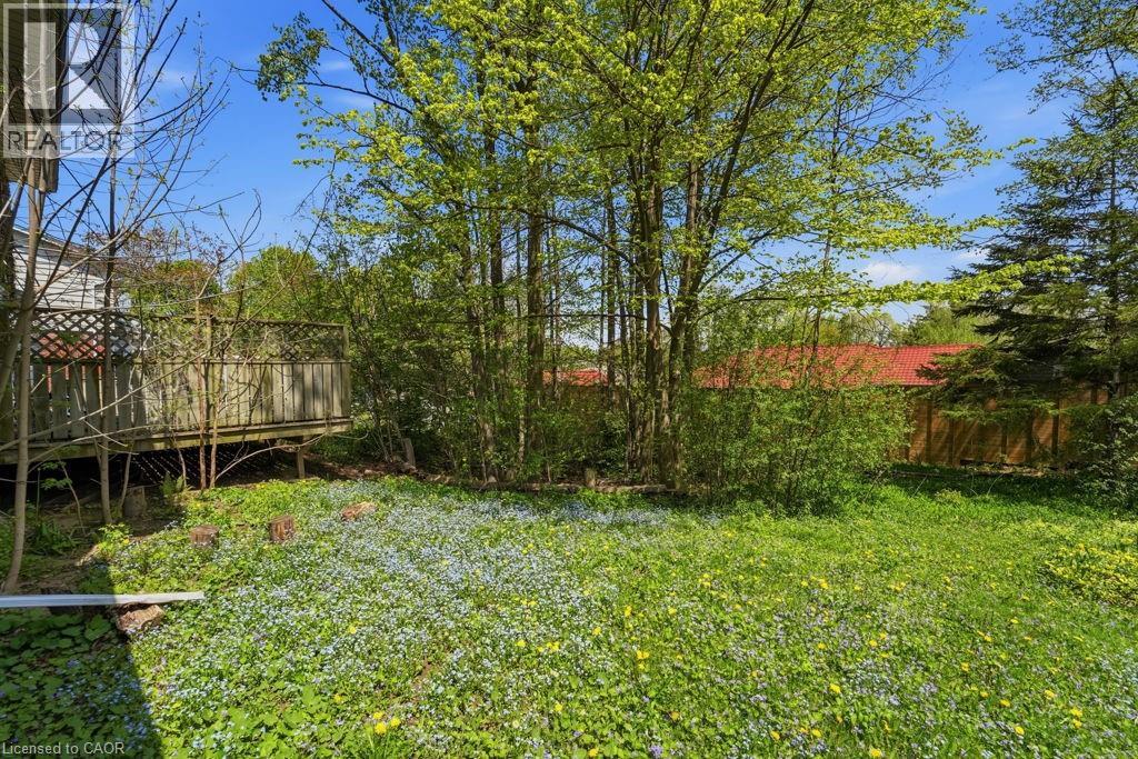 46 Birchcliff Avenue Property Photo 8