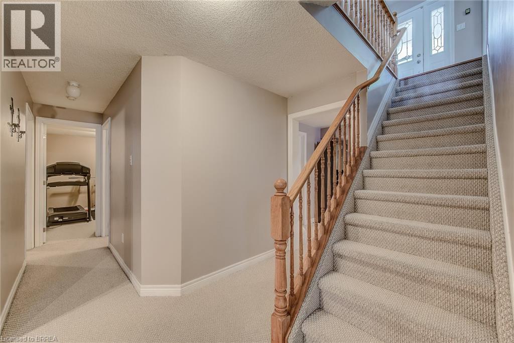 45 Olivetree Road Property Photo 40