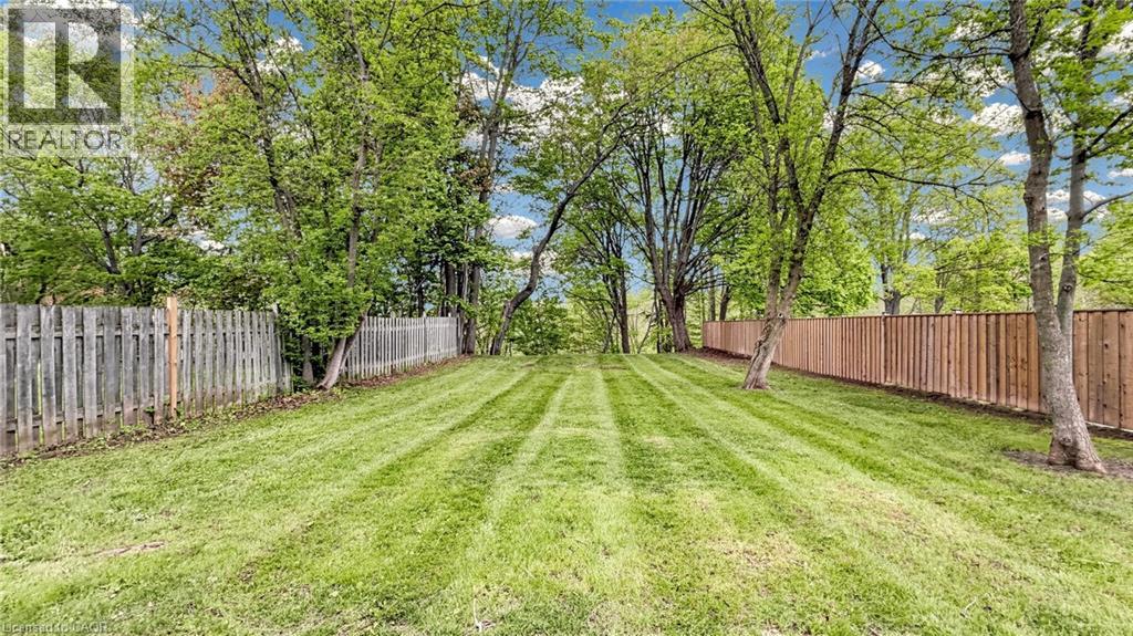 41 Talbot Road Property Photo 38