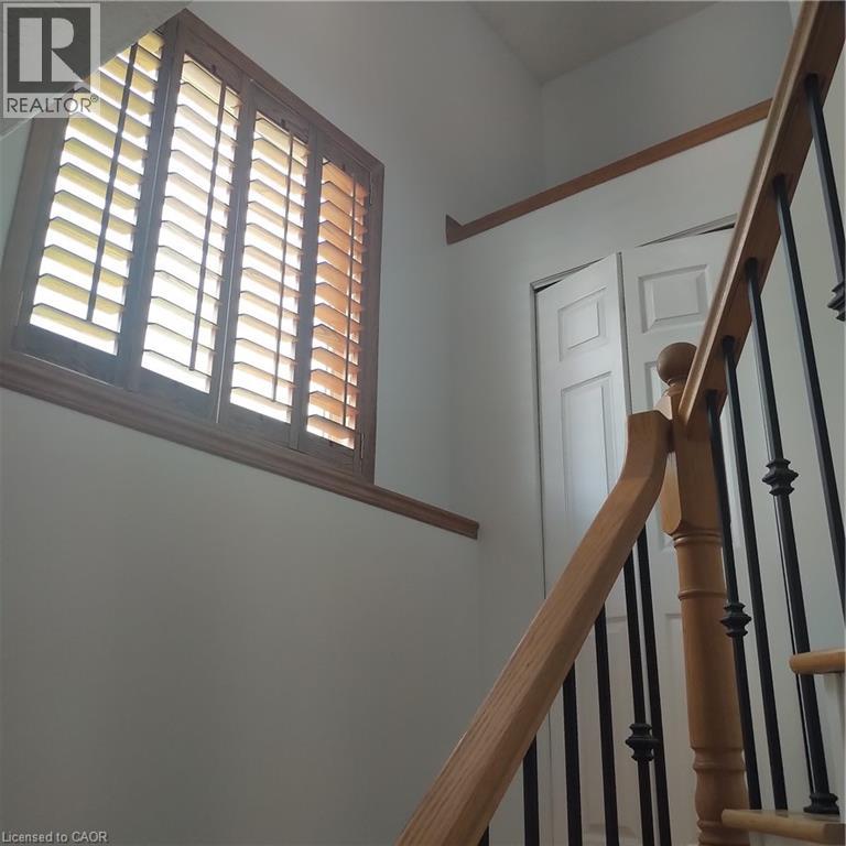 50 Hagan Avenue Property Photo 19