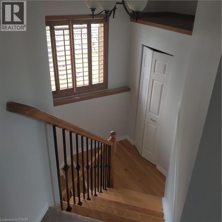 50 Hagan Avenue Property Photo 31