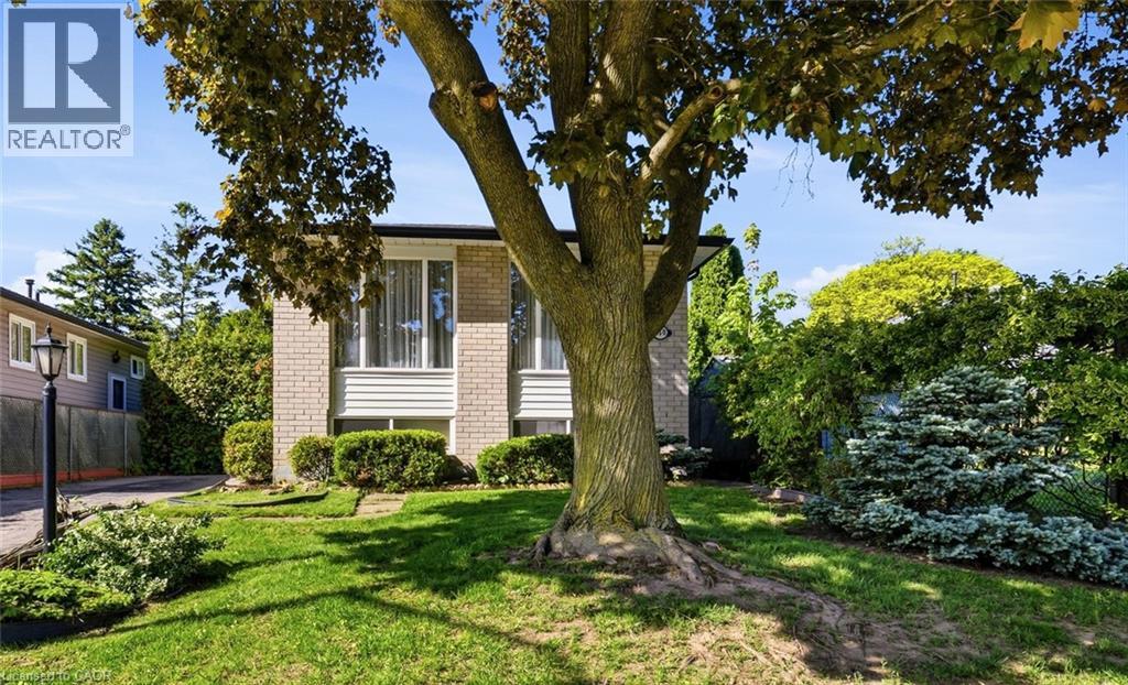 450 BRIGADOON Drive