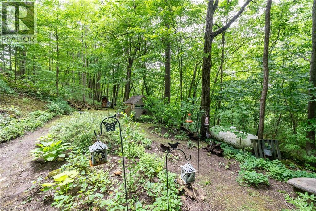 551 East River Road Property Photo 36