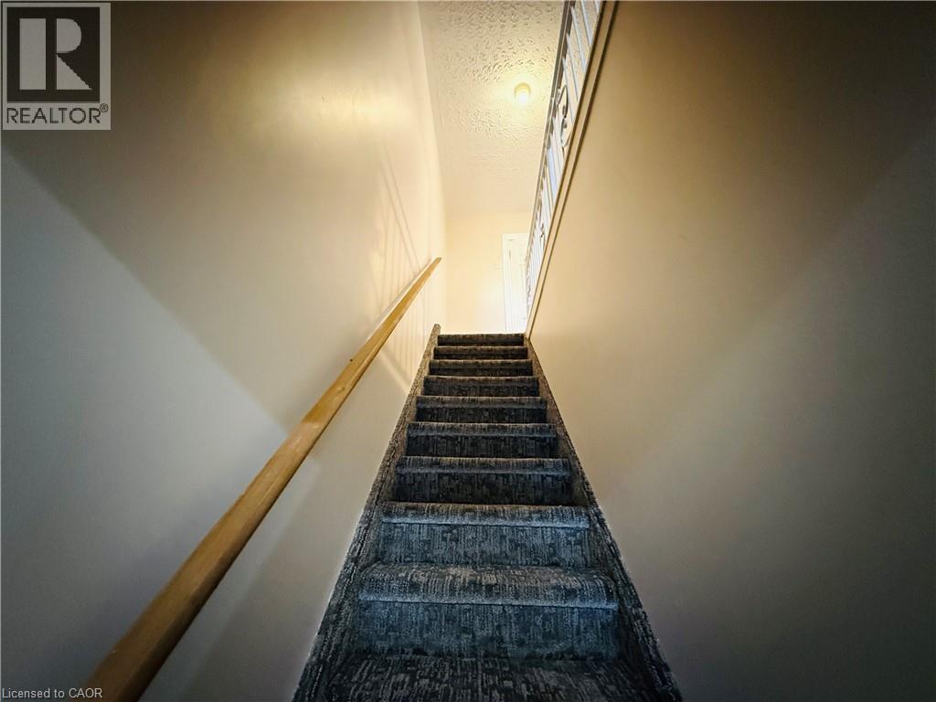 24 Somerset Avenue Property Photo 15