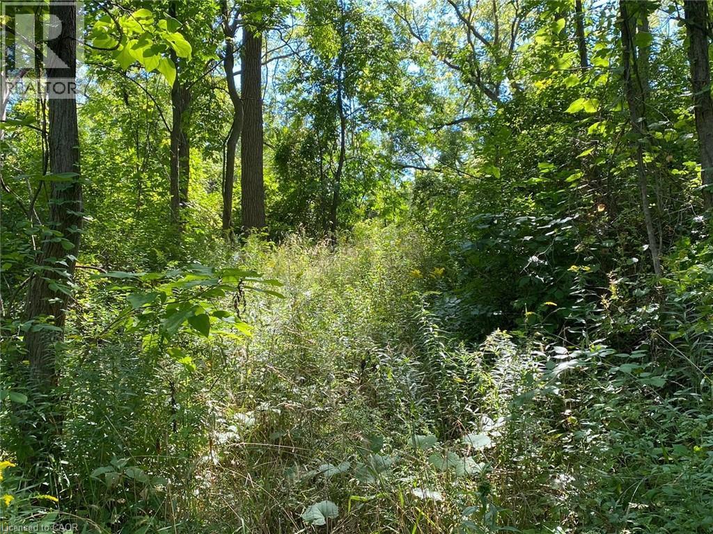 Pt Lt 3 Effingham Street Property Photo 2