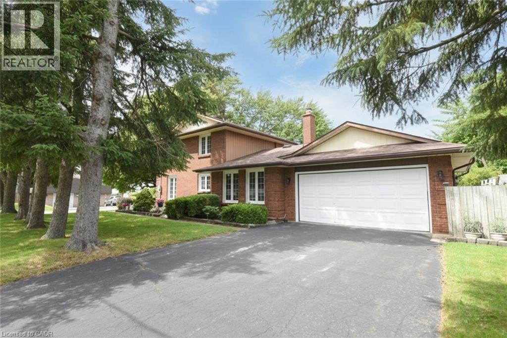 24 Shaw Street Property Photo 1