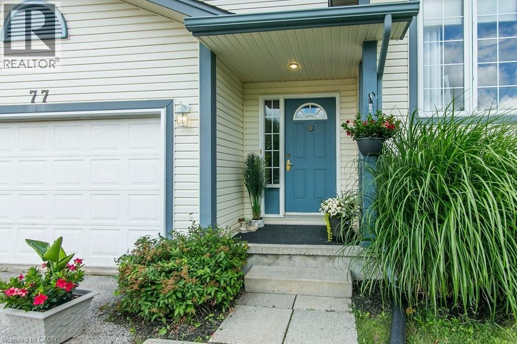 77 Lawrence Street Property Photo 4