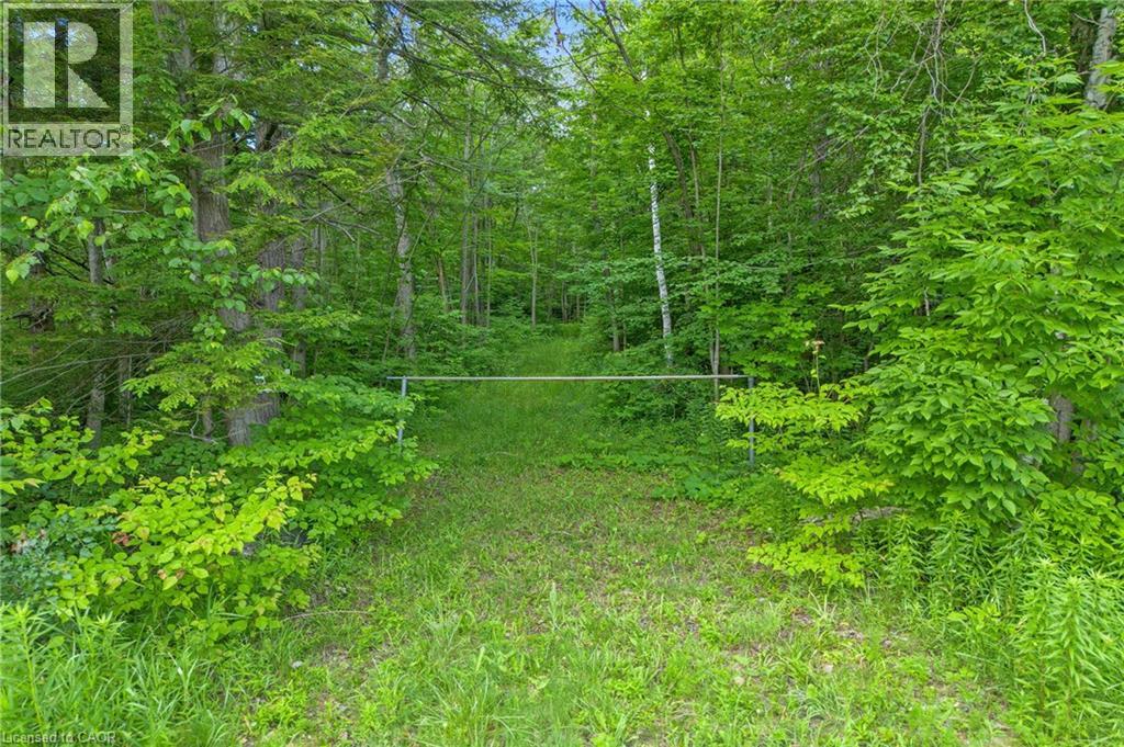 Fourth Line Nassagaweya Property Photo 1