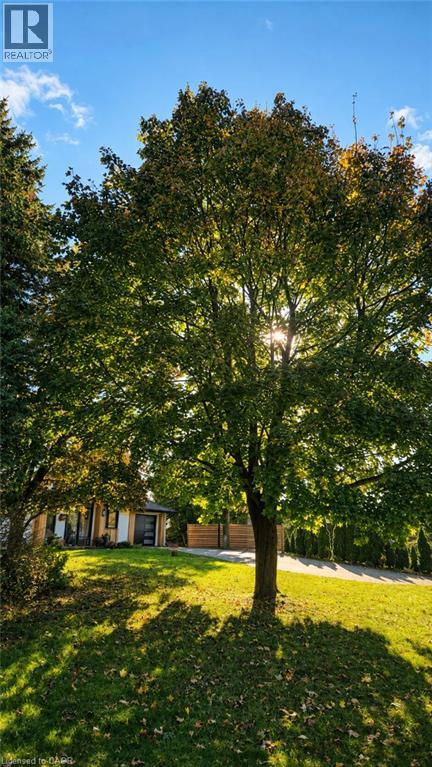 50 Oak Avenue Property Photo 33