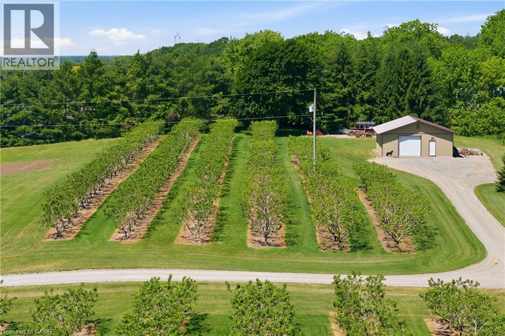 461 Tice Road Property Photo 42