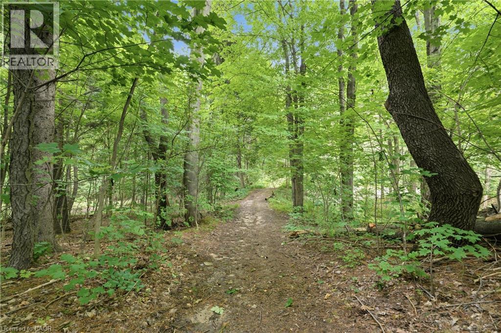 461 Tice Road Property Photo 45