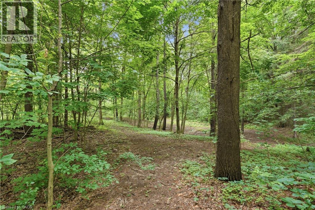 461 Tice Road Property Photo 46