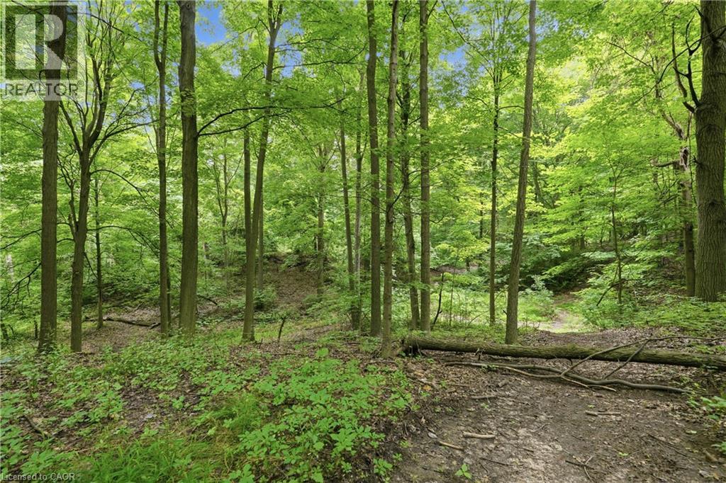 461 Tice Road Property Photo 47