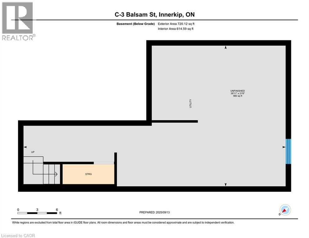 3c Balsam Street Property Photo 32