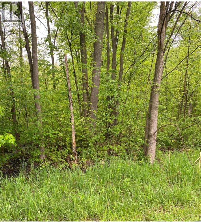 N/a Regional Rd 46 Road Property Photo 2