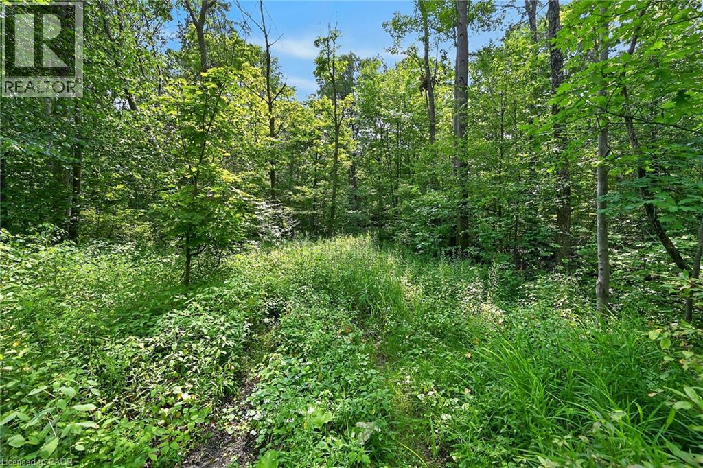 118 Concession 1 Road Property Photo 45