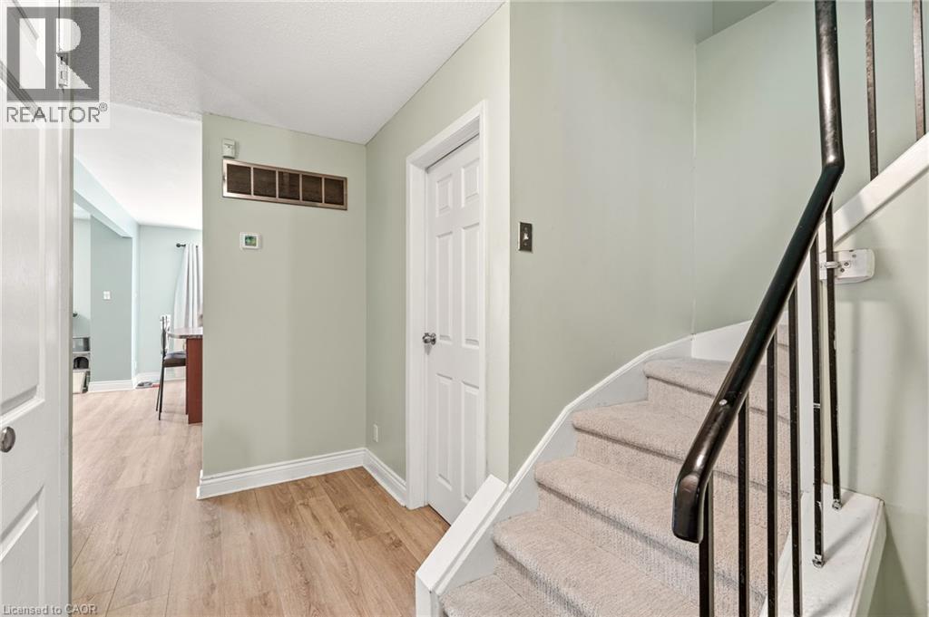 4 Eileen Street Property Photo 5