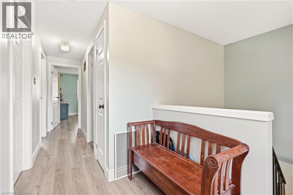 4 Eileen Street Property Photo 22