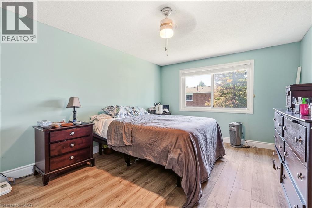 4 Eileen Street Property Photo 27