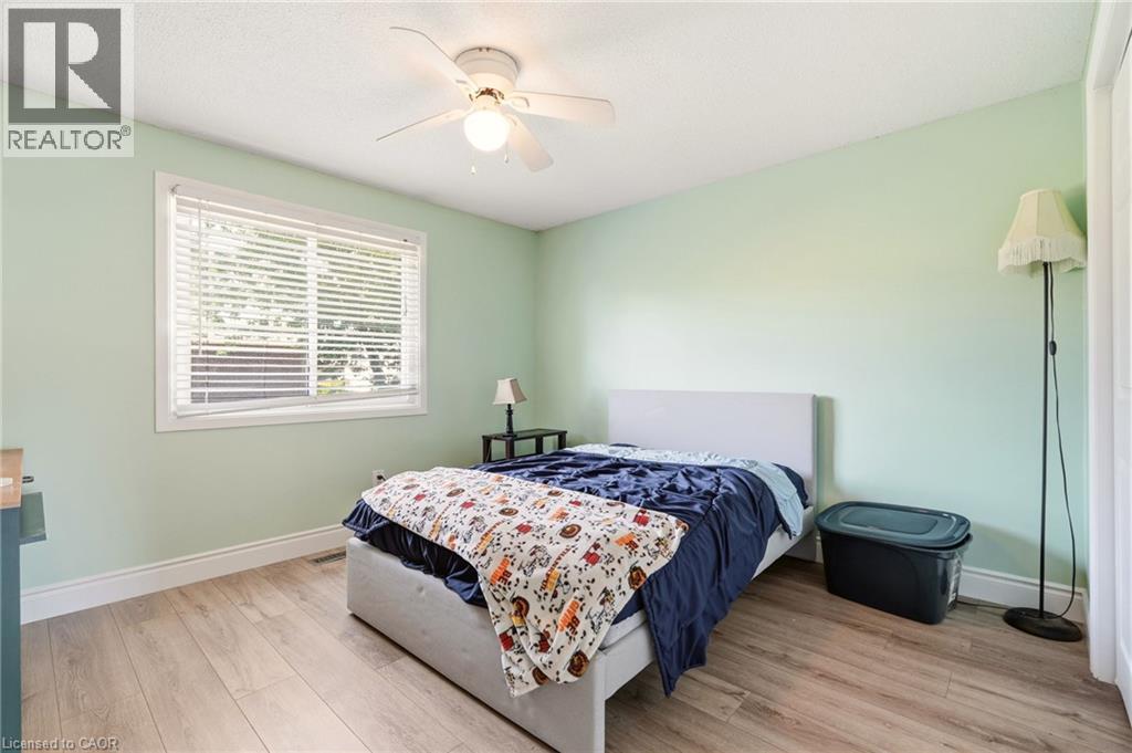 4 Eileen Street Property Photo 28