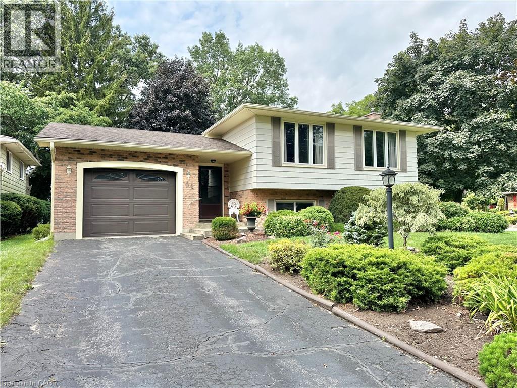44 DOUGLAS Avenue Property Photo 1