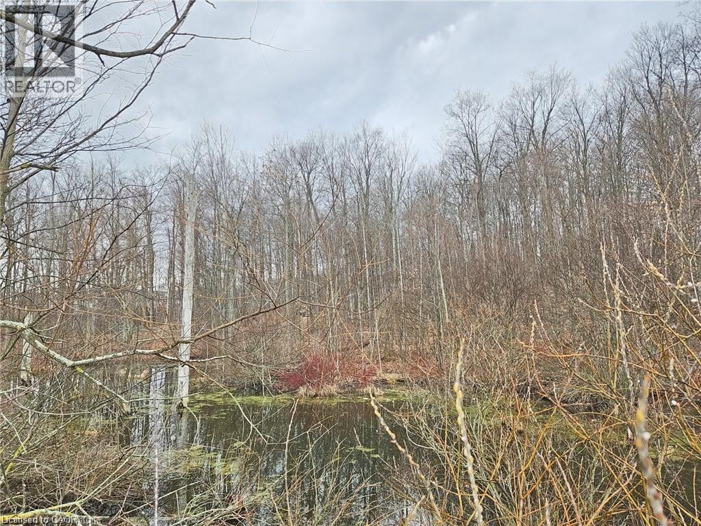105 Activa Avenue Property Photo 44