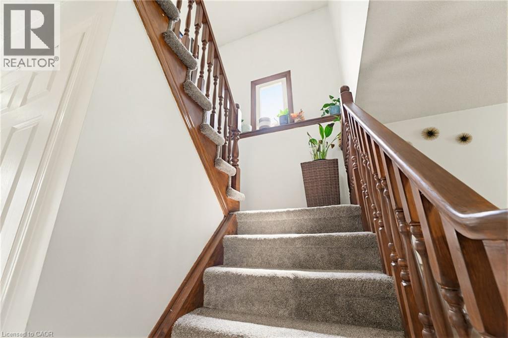 459 Dicenzo Drive Property Photo 22