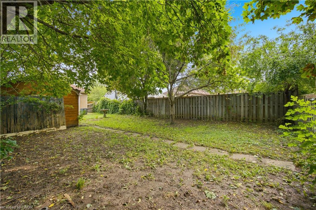 26 Maitland Street Property Photo 31