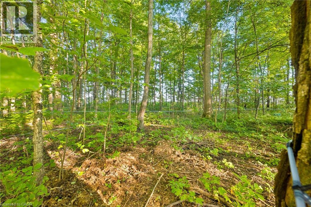 2018 Greenwood Hill Road Property Photo 19