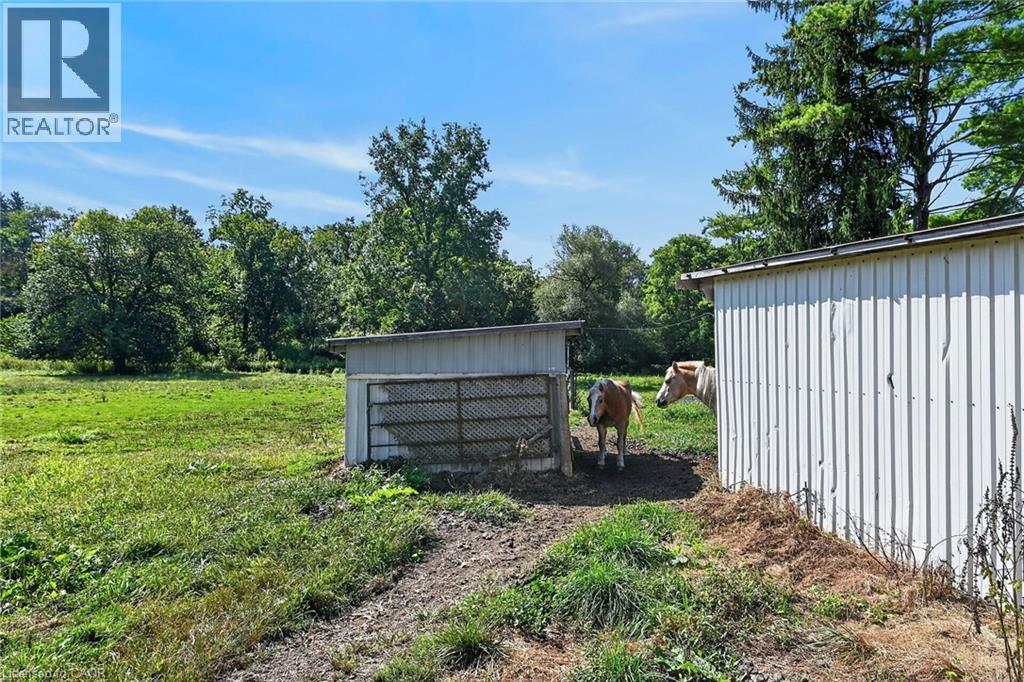 90 Governors Road Property Photo 38