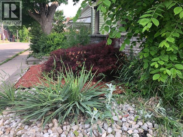 171 Owen Street Property Photo 22