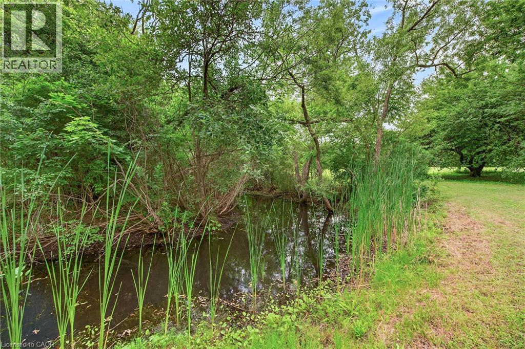 138 Reicheld Road Property Photo 44
