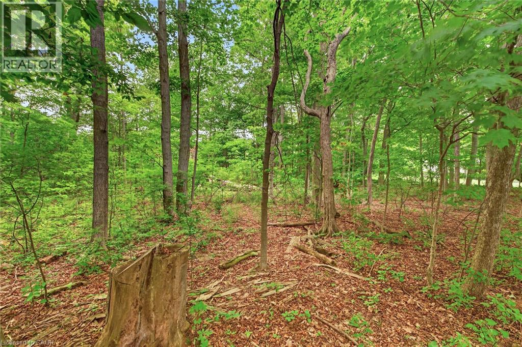 138 Reicheld Road Property Photo 45