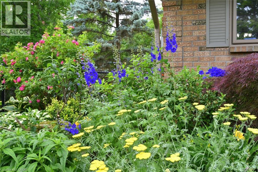 34 Howard Boulevard Property Photo 2