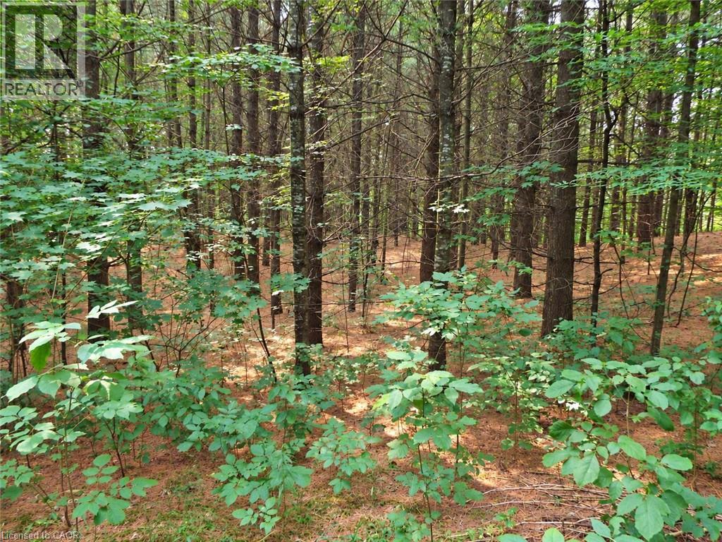 1575 Concession 10 Road Property Photo 32